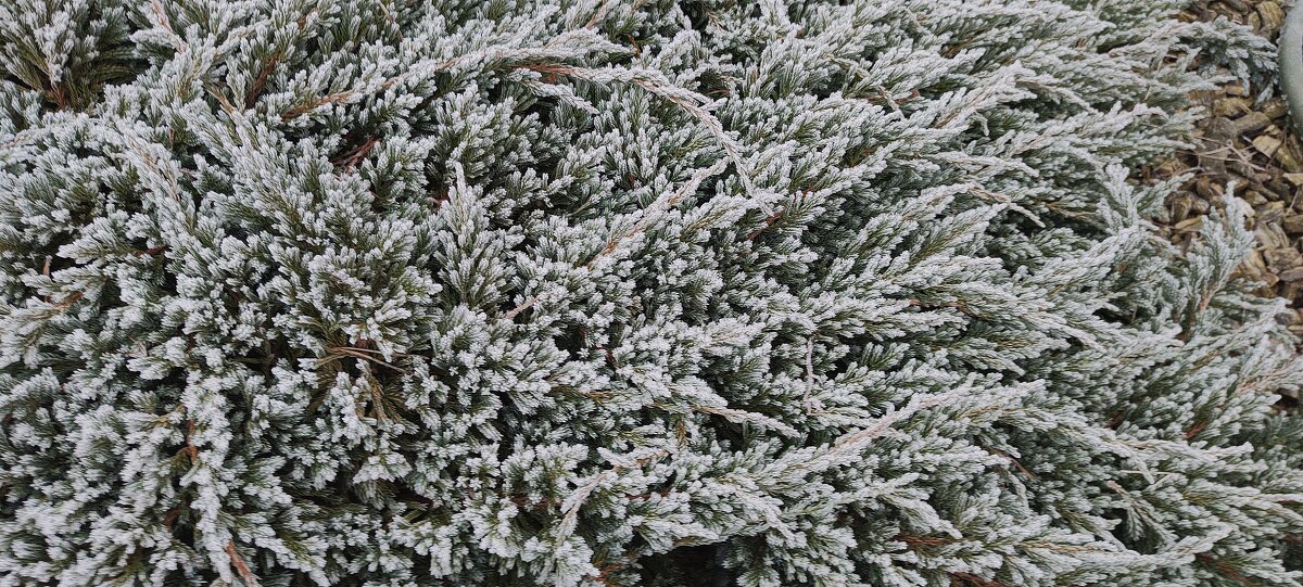 Зима на подходе - rimgis 