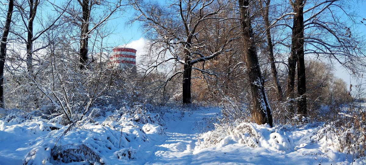 Чудесный день!!! - Радмир Арсеньев Чудесный день!!! - Радмир Арсеньев