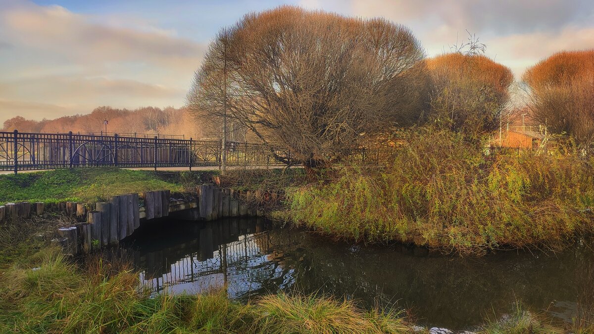 20 ноября - Наталья Лакомова