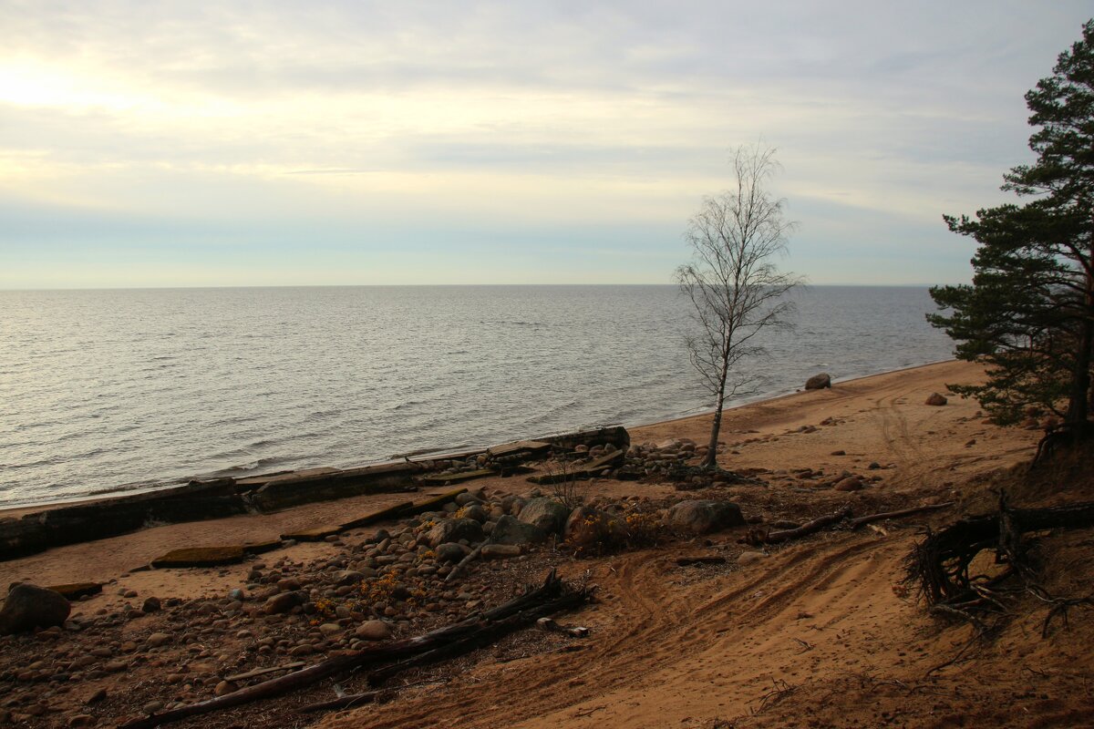 Репино - Наталья Герасимова