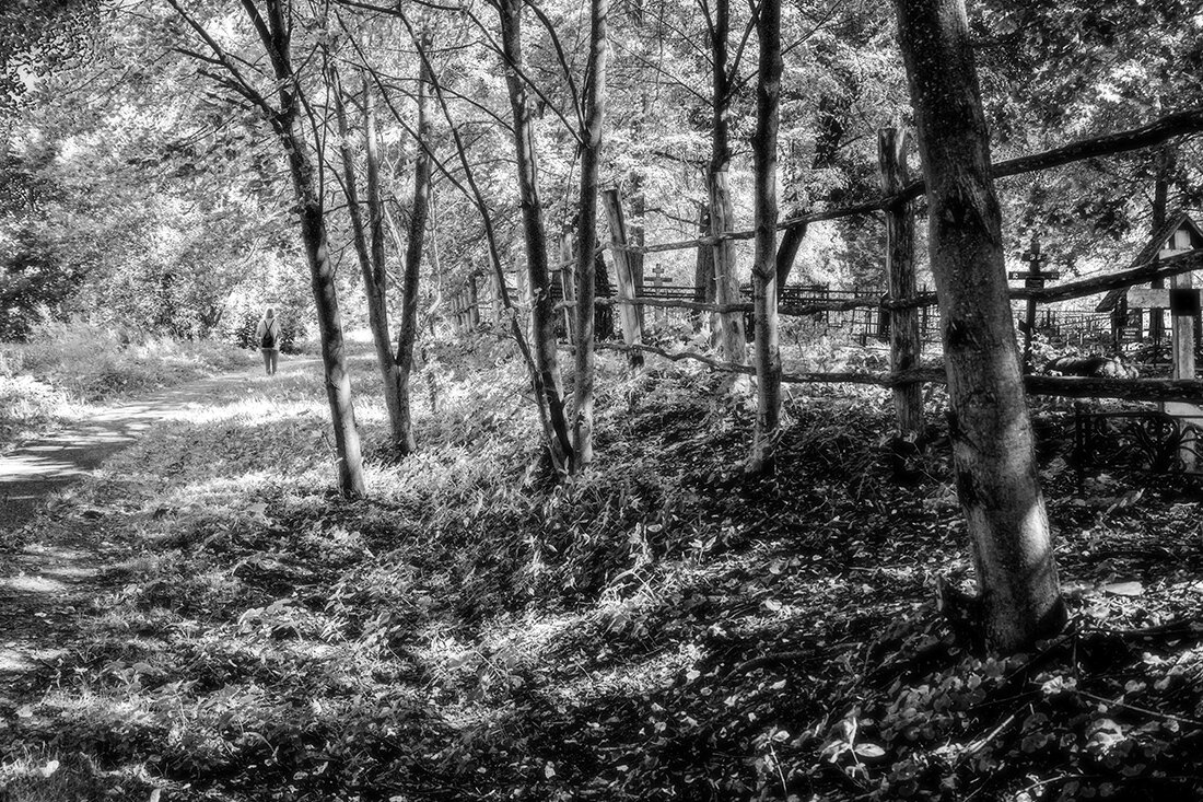 Кладбище в Бёхово - Алексей Окунеев