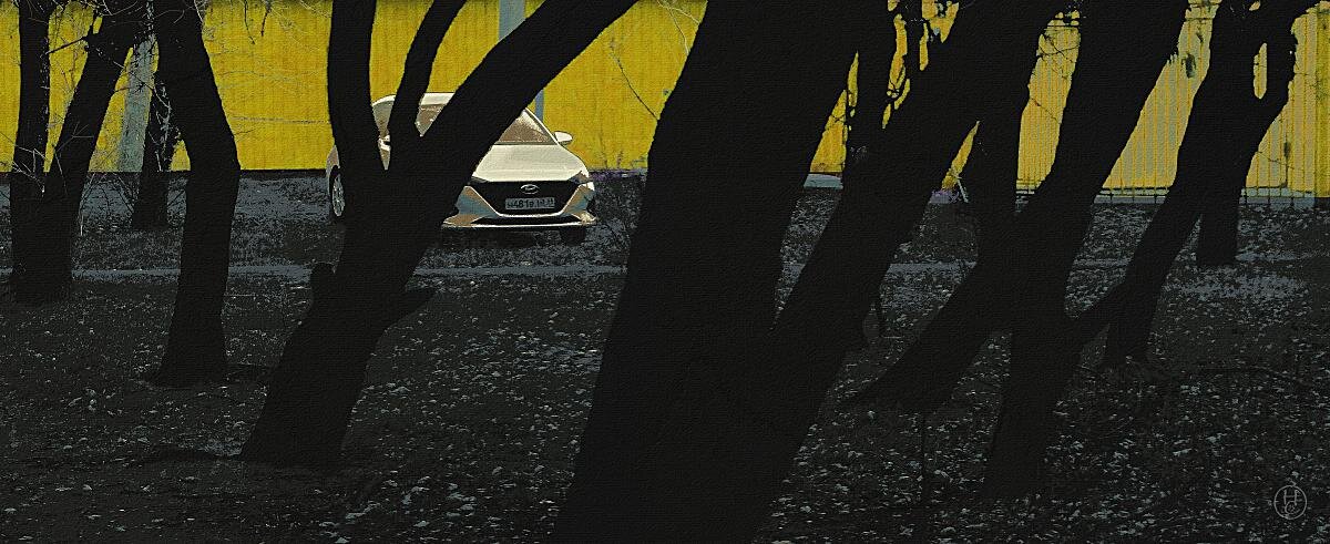 абрикосы что за домом - Николай Семёнов