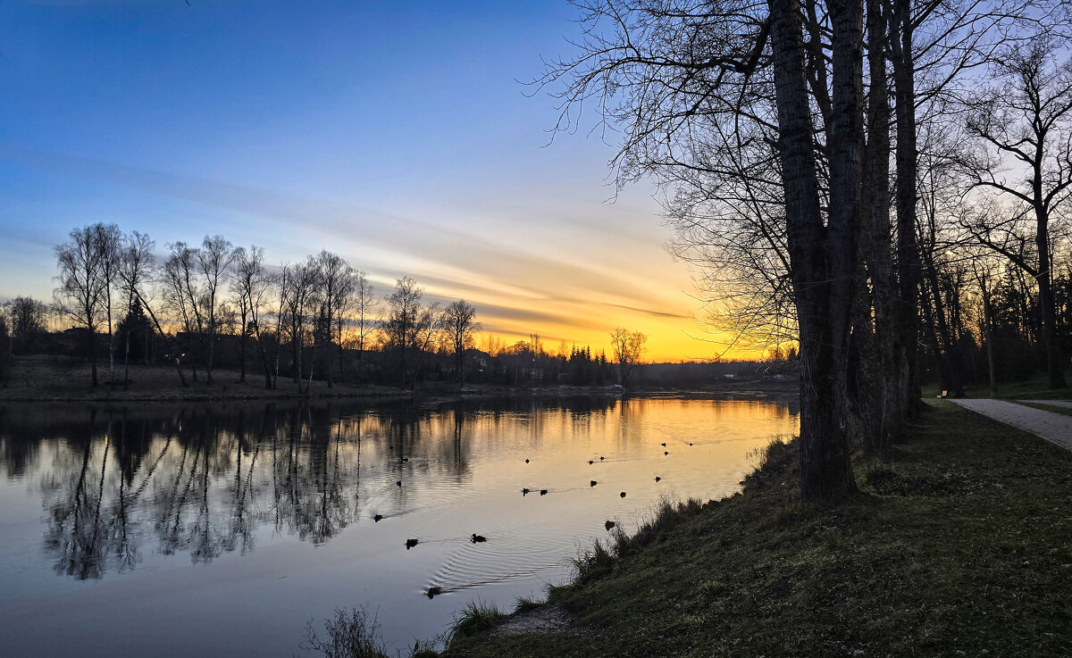 Ноябрь - Oleg S 