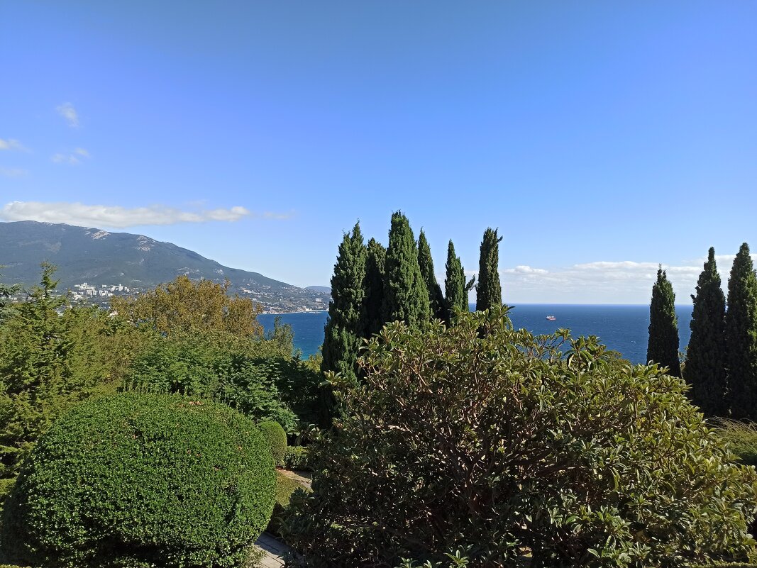 Ливадийский парк. Крым - Галина Ливадийский парк. Крым - Галина