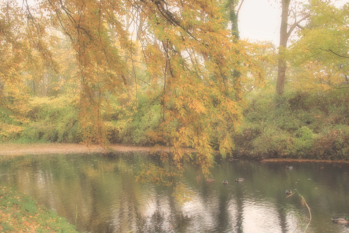 Туманным осенним днём - Андрей K.