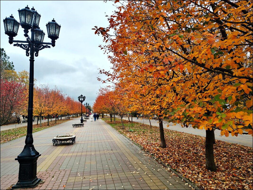 Аллея! - Надежда 