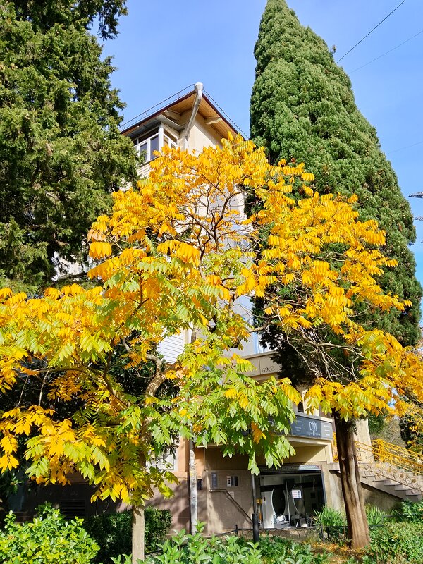 ноябрь - Tata Wolf