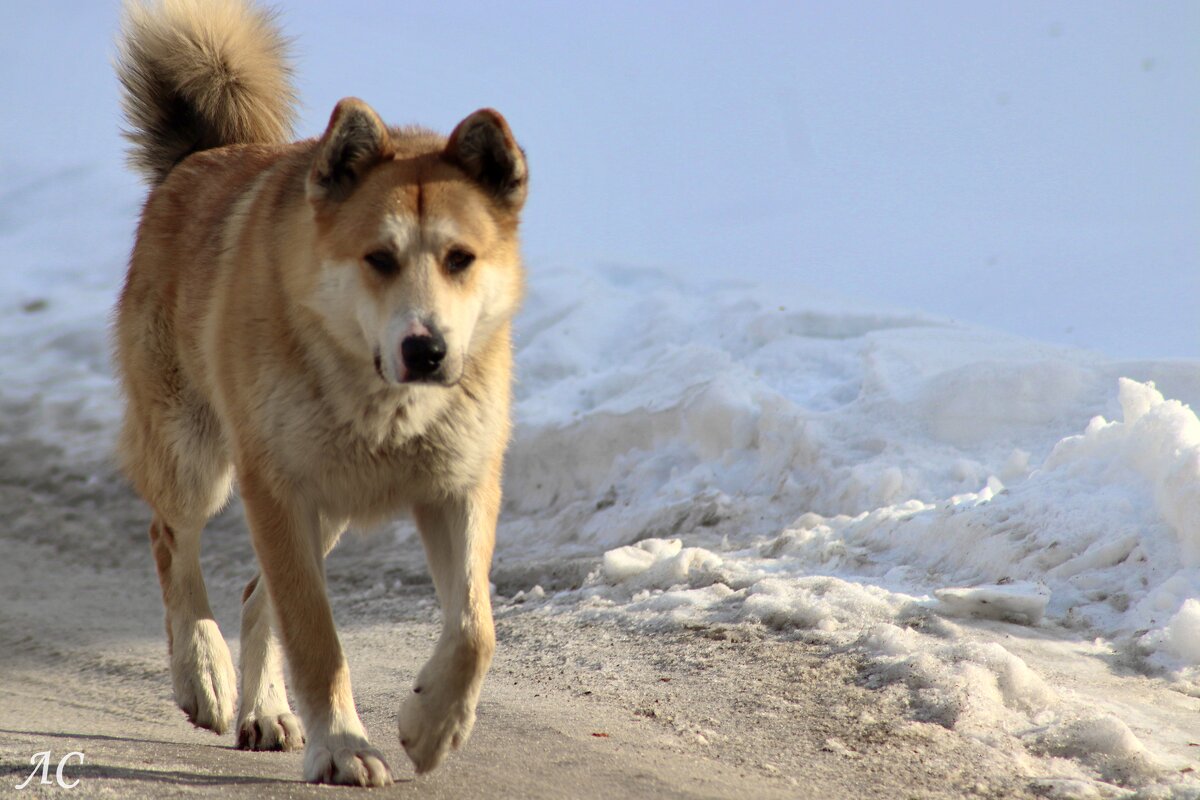 Важная персона - Любовь Сахарова