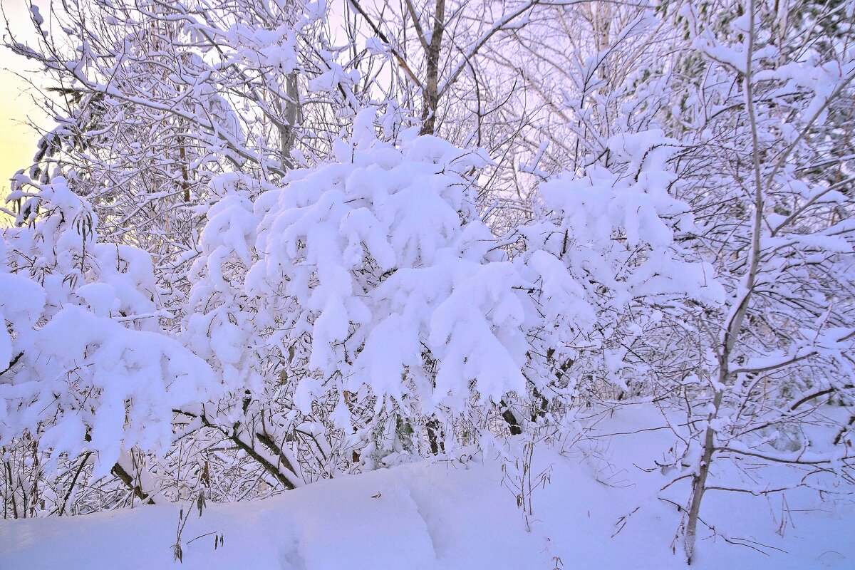 - - Владимир Мигонькин