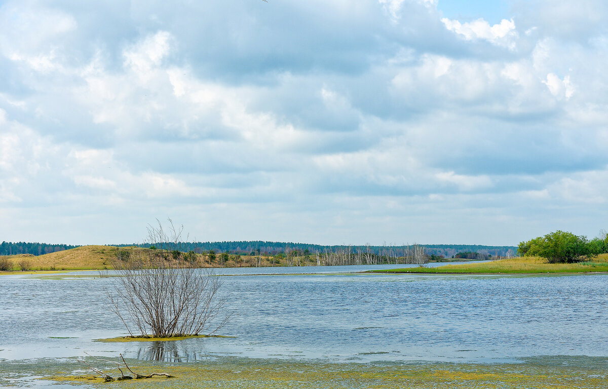 Про озёра - Дмитрий Конев