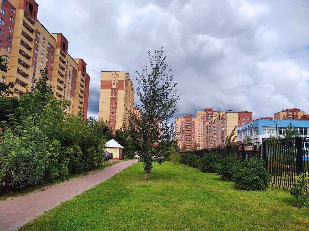 Мой город - Елена Семигина Мой город - Елена Семигина