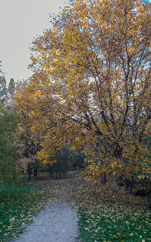 Осеннее - Варвара Осеннее - Варвара