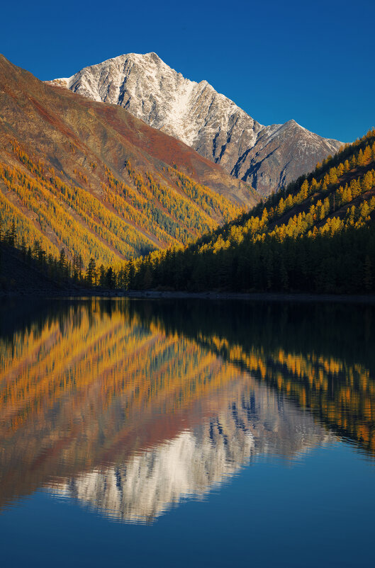 * - Александр Иванов