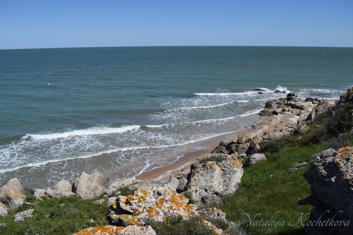 Природа Крыма - Amazing Cosmea