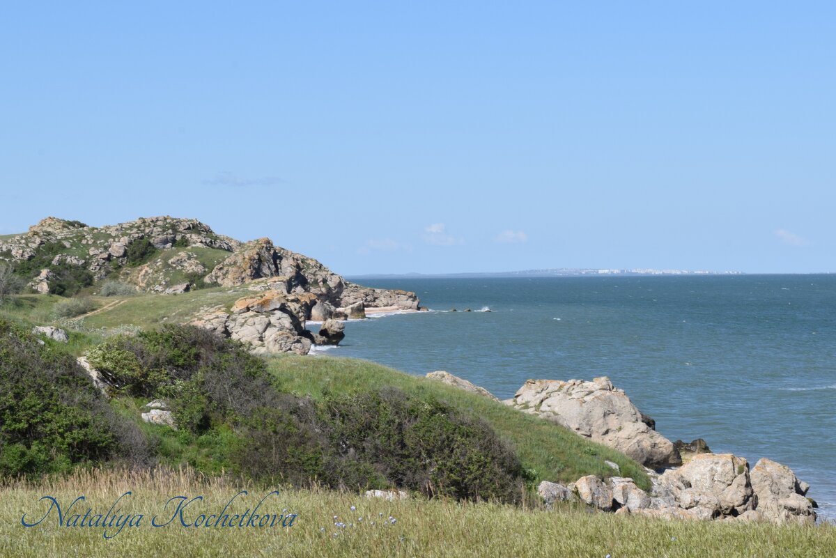 Природа Крыма - Amazing Cosmea