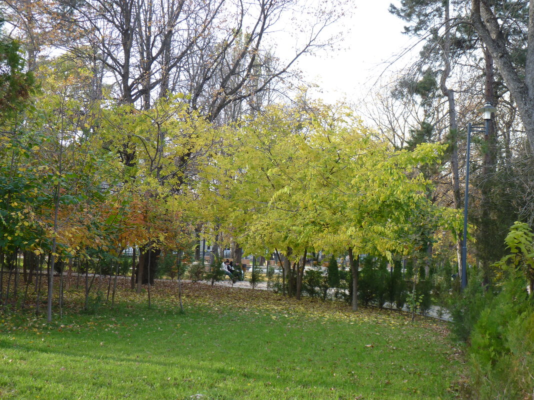 Осеньна бульваре Ленина - Валентин Семчишин Осеньна бульваре Ленина - Валентин Семчишин