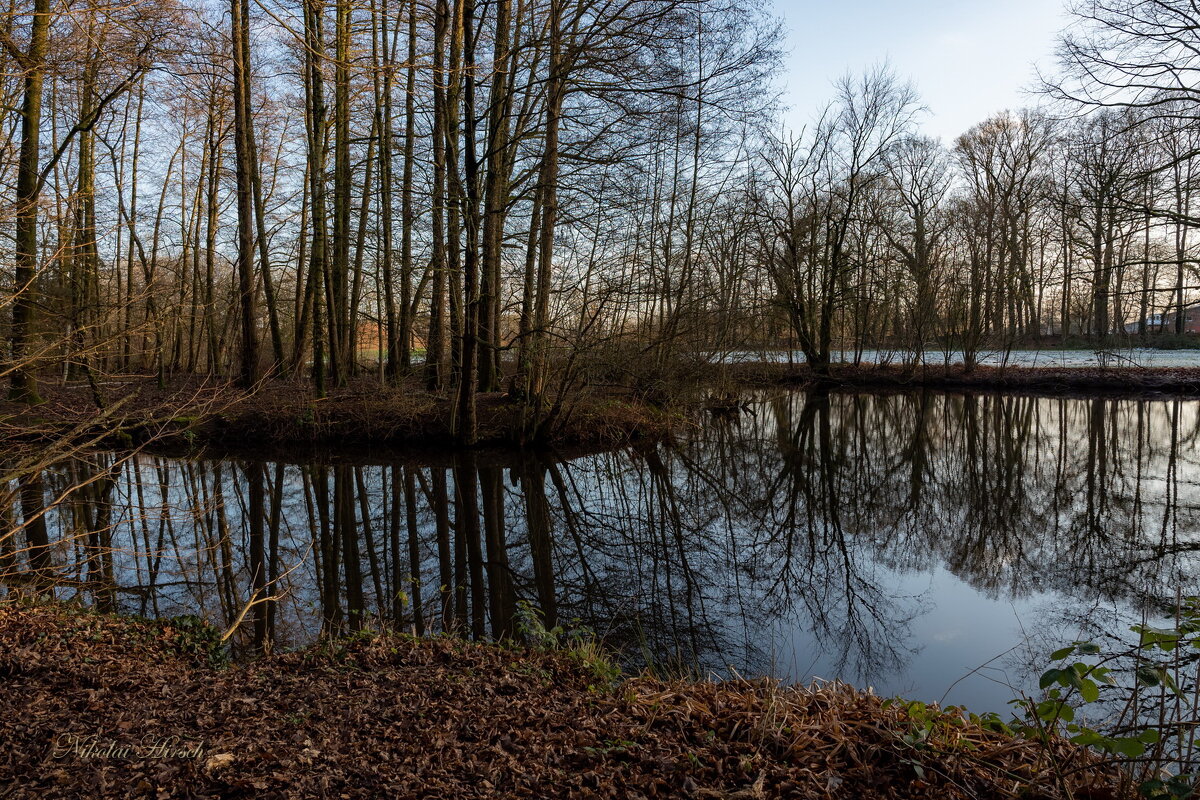 Отражения... - Николай Гирш Отражения... - Николай Гирш