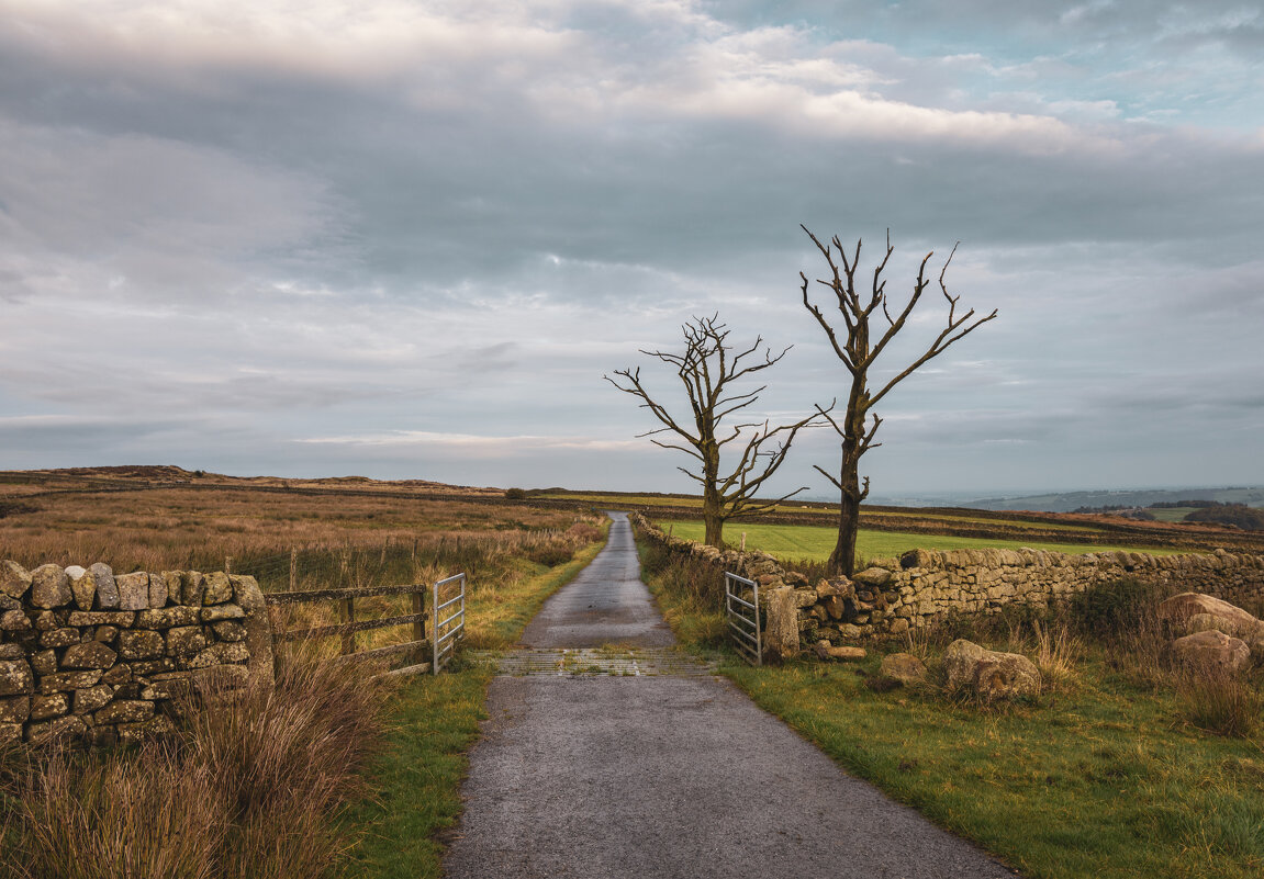 Осенний пейзаж - Алекс Римский