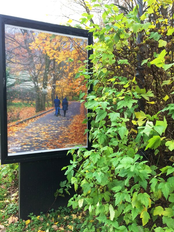 Осенью - Галина 