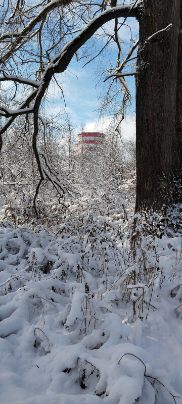Снежный день!!! - Радмир Арсеньев