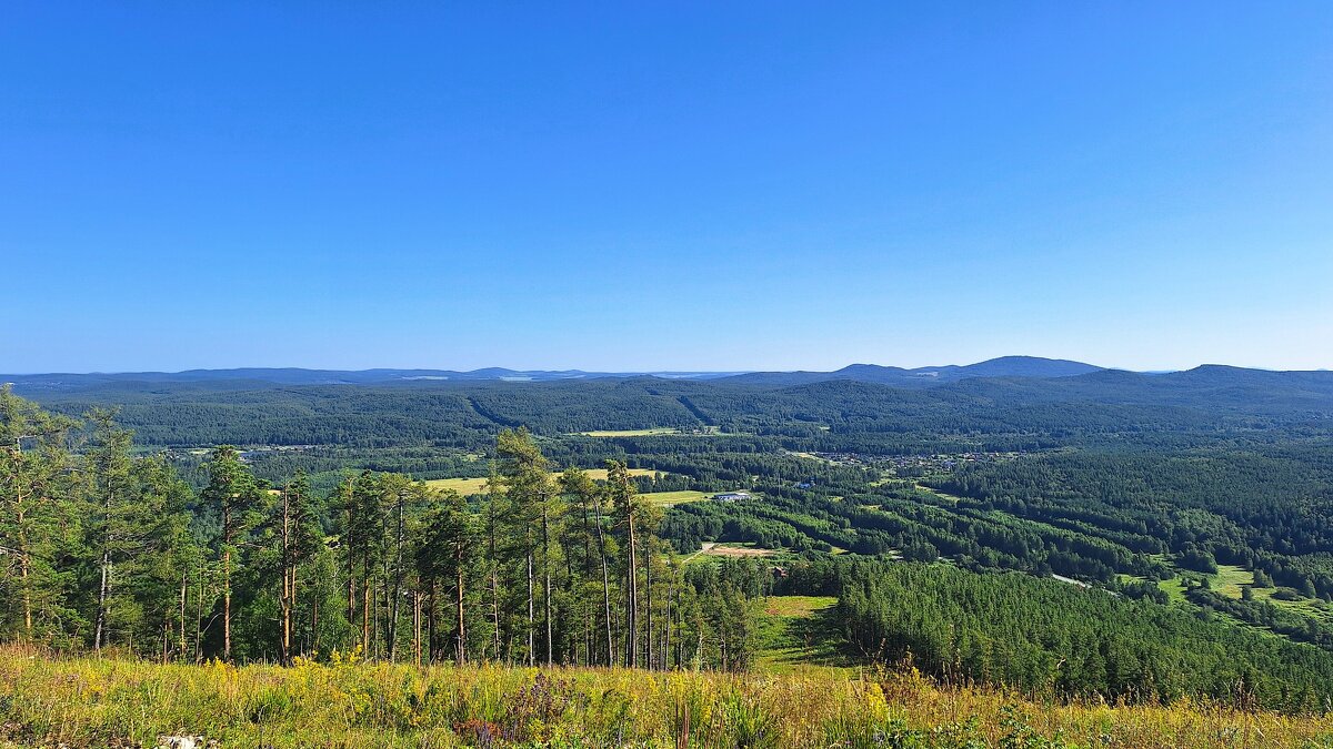 И поля цветут, и леса шумят - Hope 