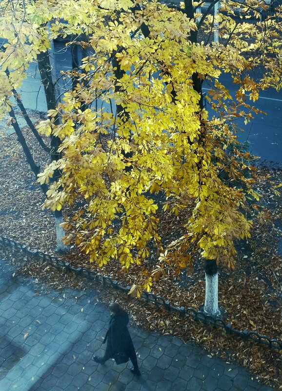 *** - Валентина Береснева