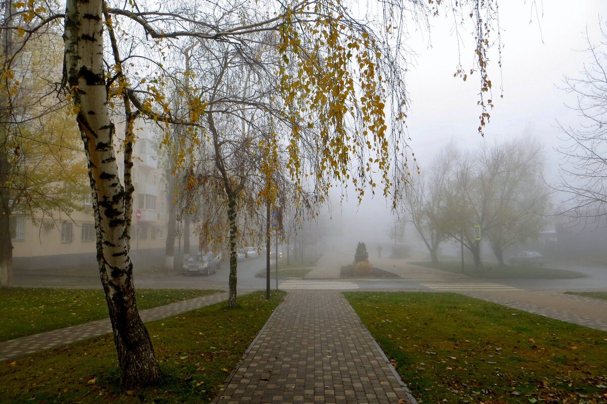 Туман в моём осеннем городе - Татьяна Смоляниченко