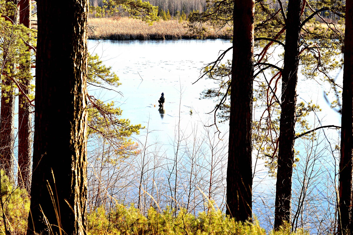первый лёд - Александр 