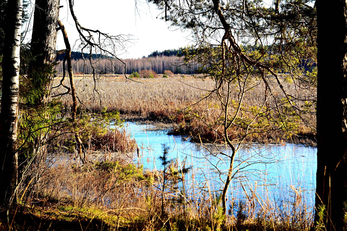 конец ноября - Александр 