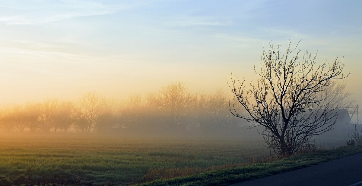 Ноябрь. Утро. - Владимир 
