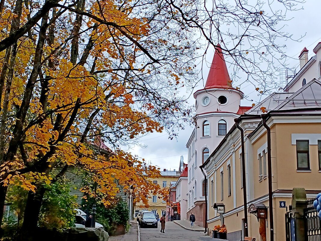 Улочки Выборга. - Лия ☼