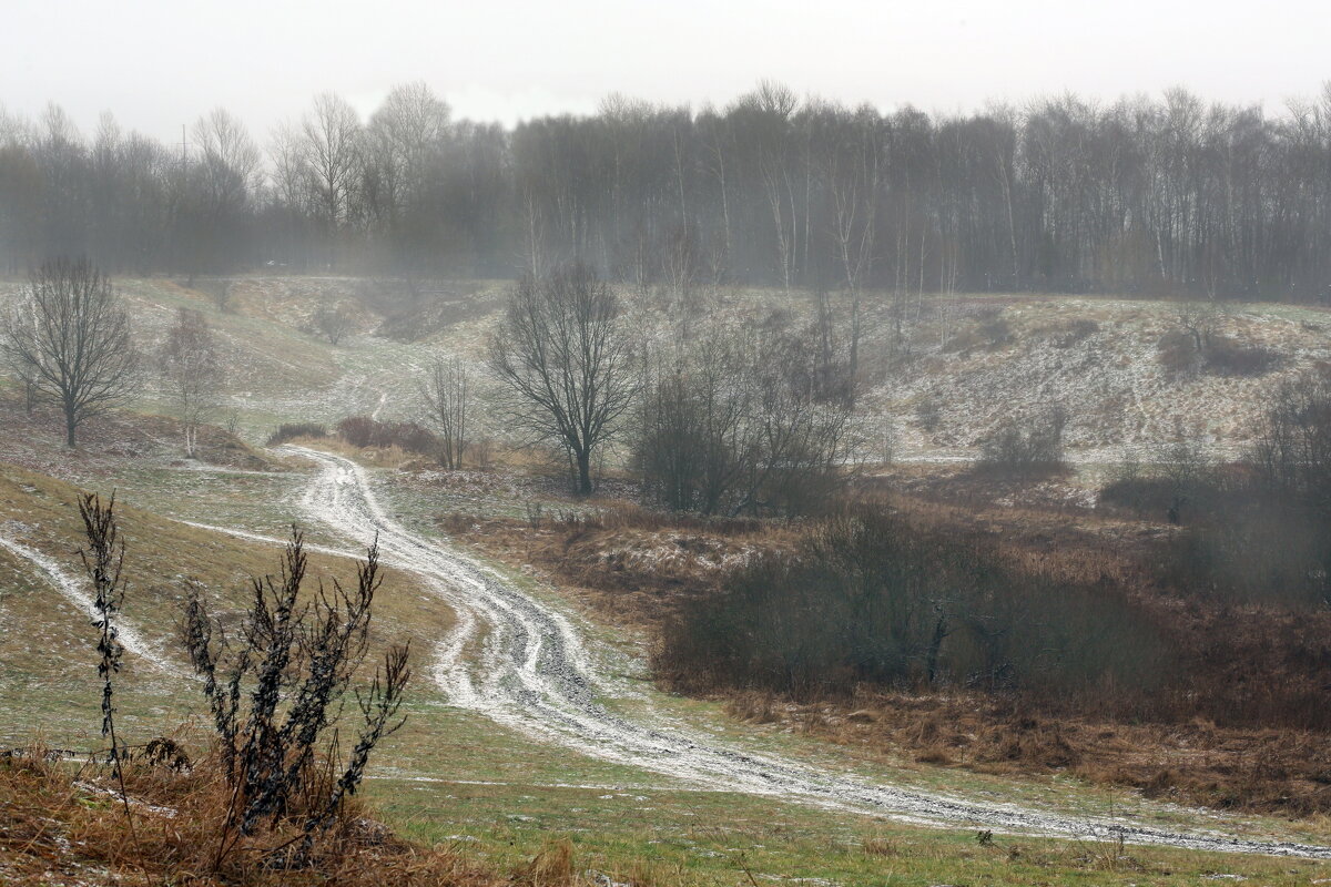 Царицыно 21 ноября - Михаил Бибичков