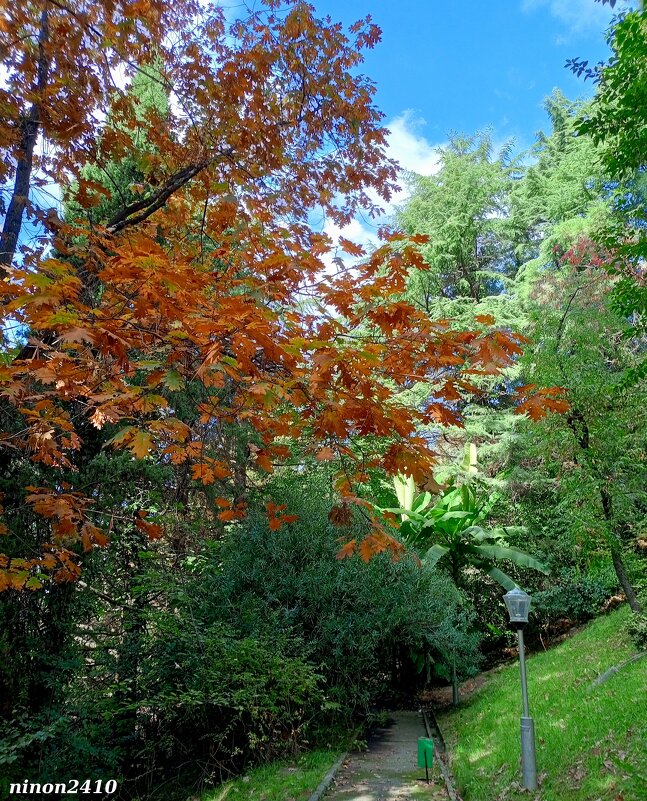 Адлер. В пансионате "Орбита" - Нина Бутко