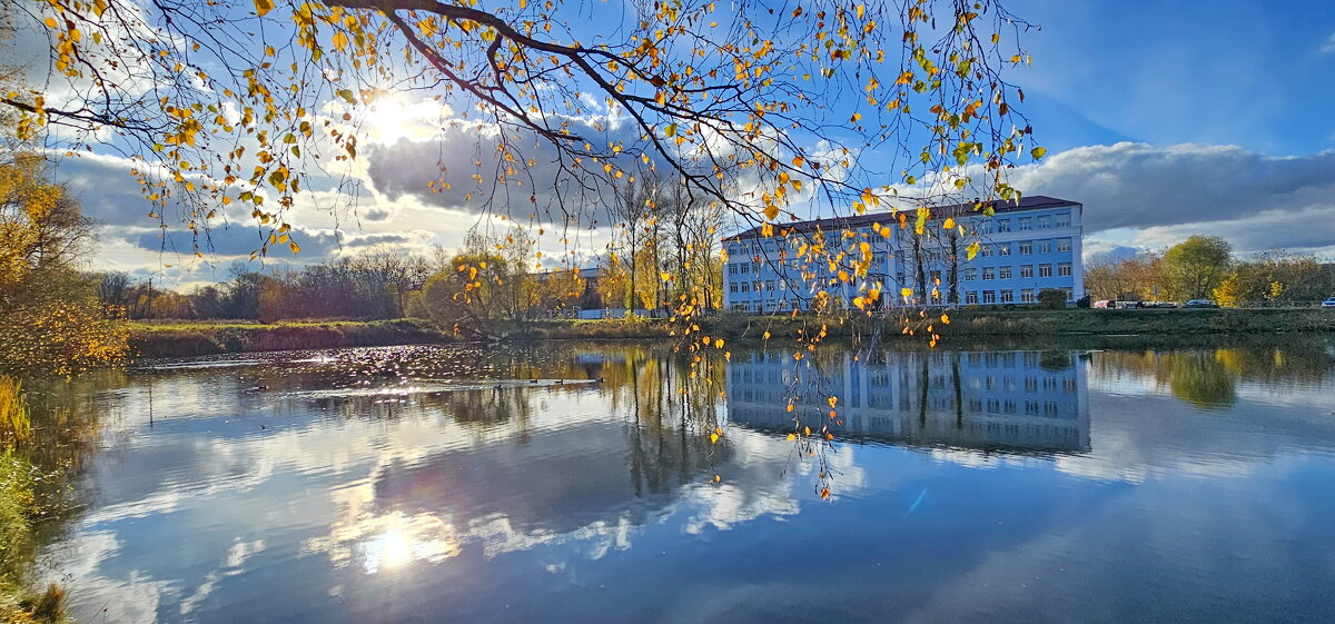 Краски осени. Петропавловский парк. - Михаил Свиденцов