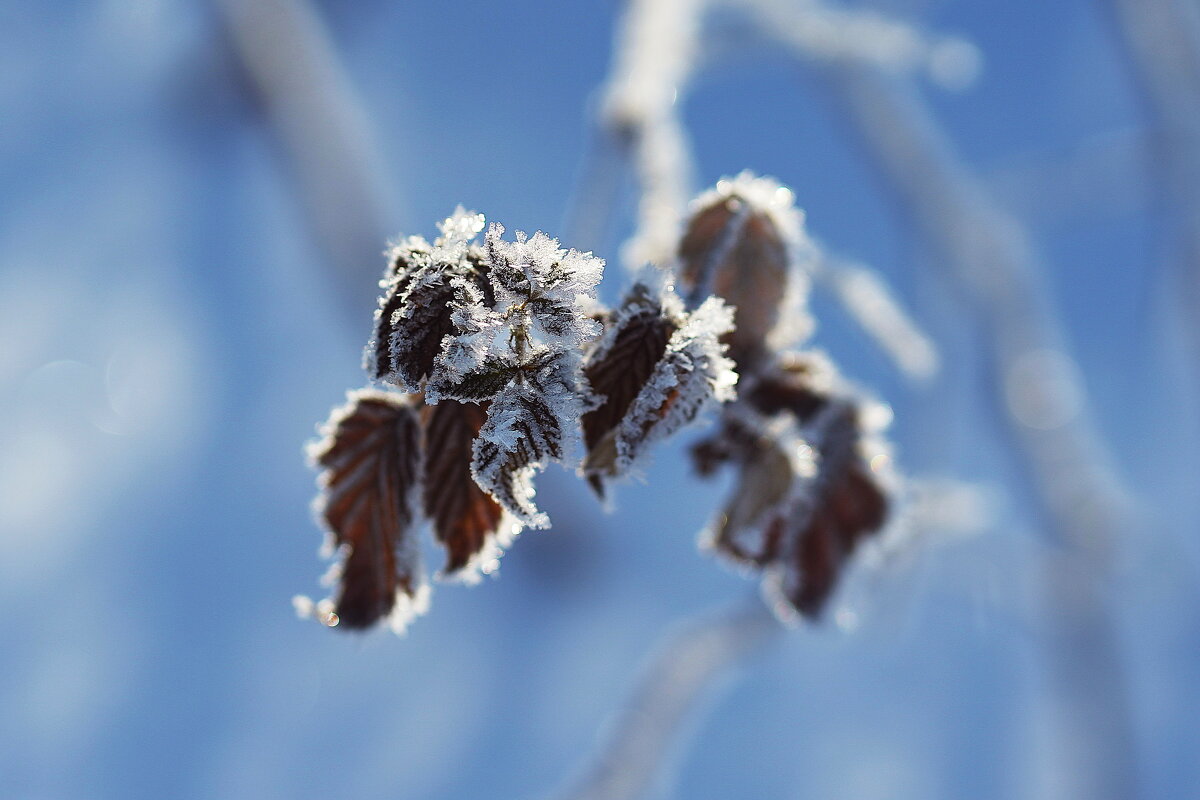 Приукрасились - Galina Iskandarova
