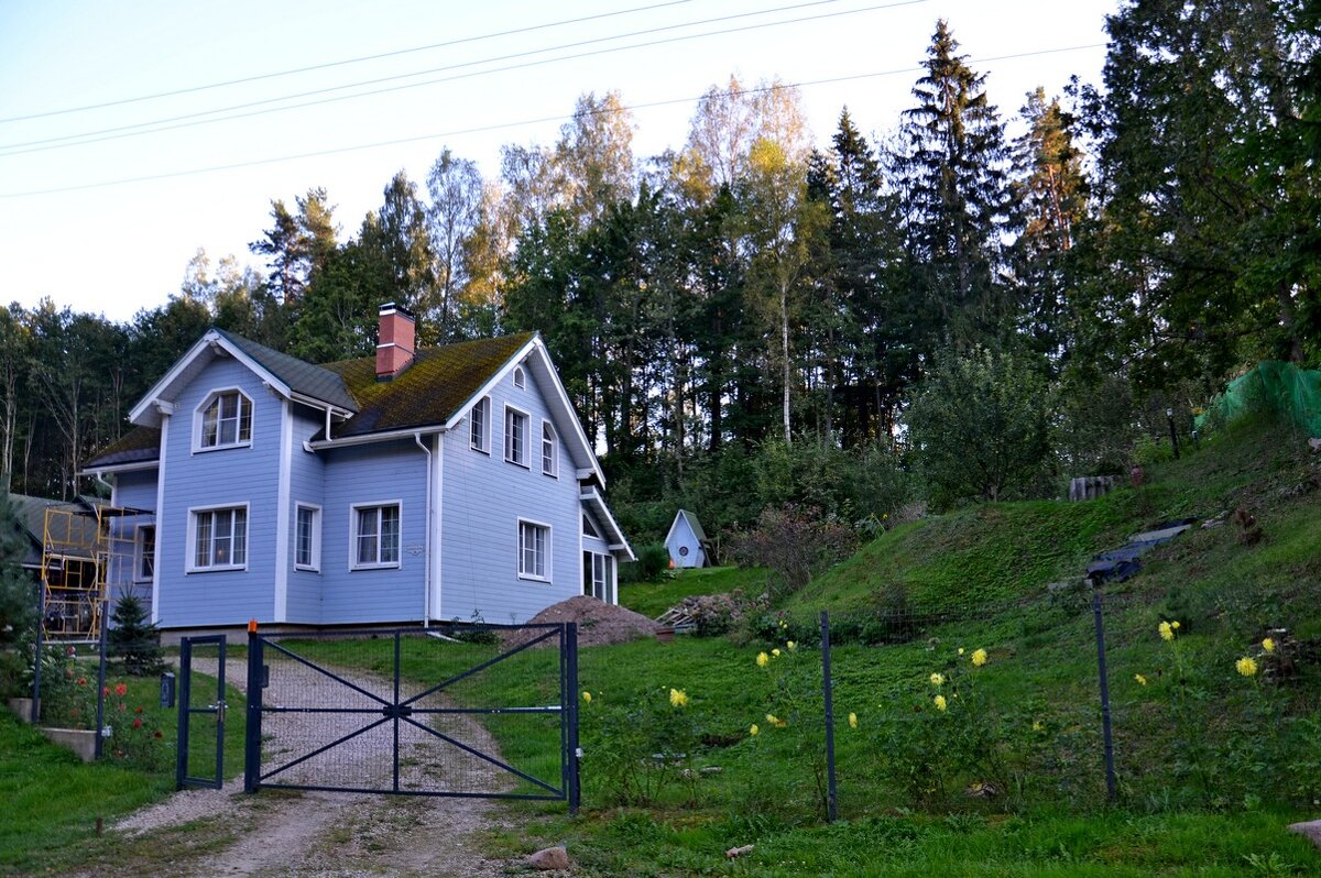 ПУШКИНСКИЕ ГОРЫ - Виктор Осипчук