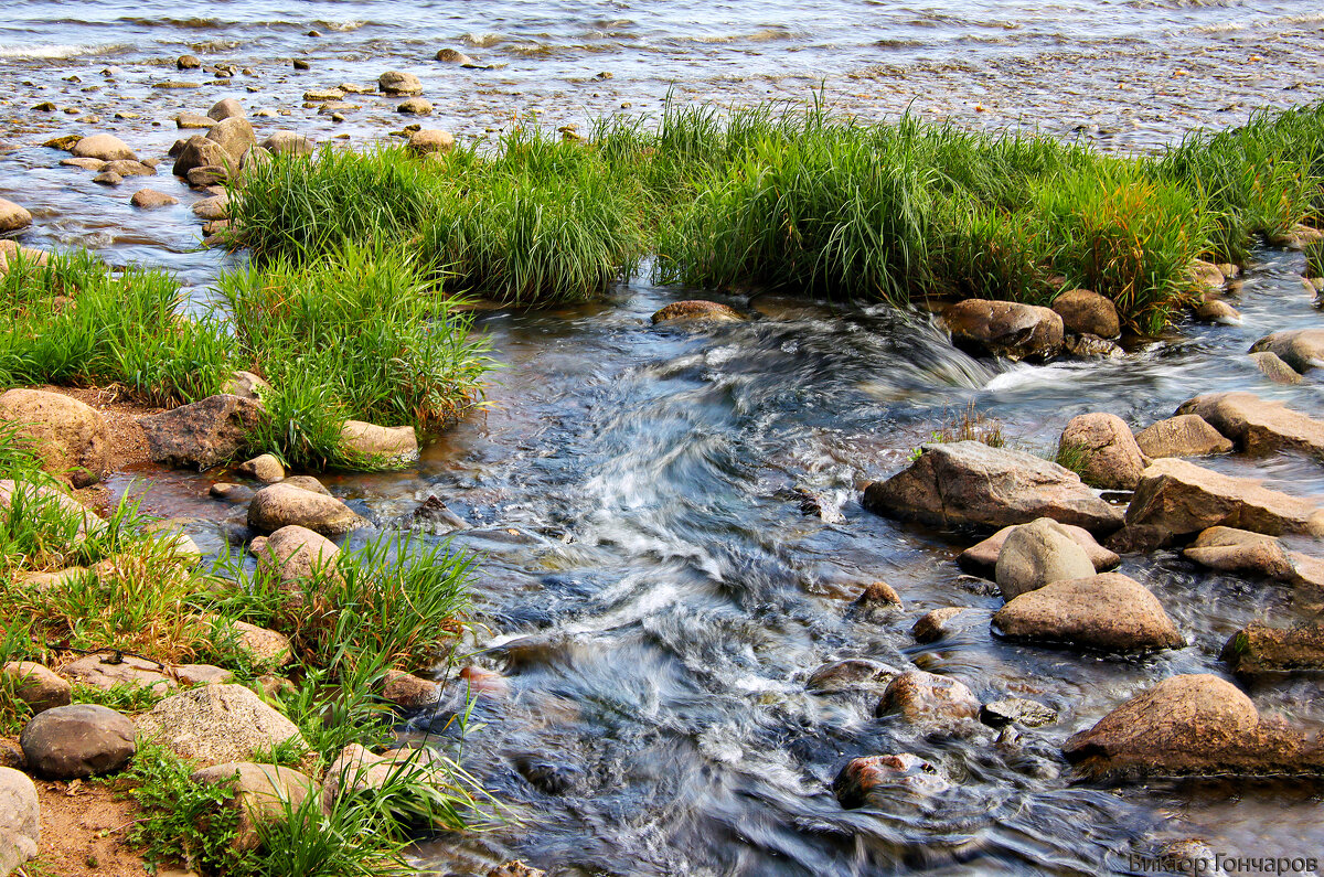 Финский залив,Петергоф - Laryan1 