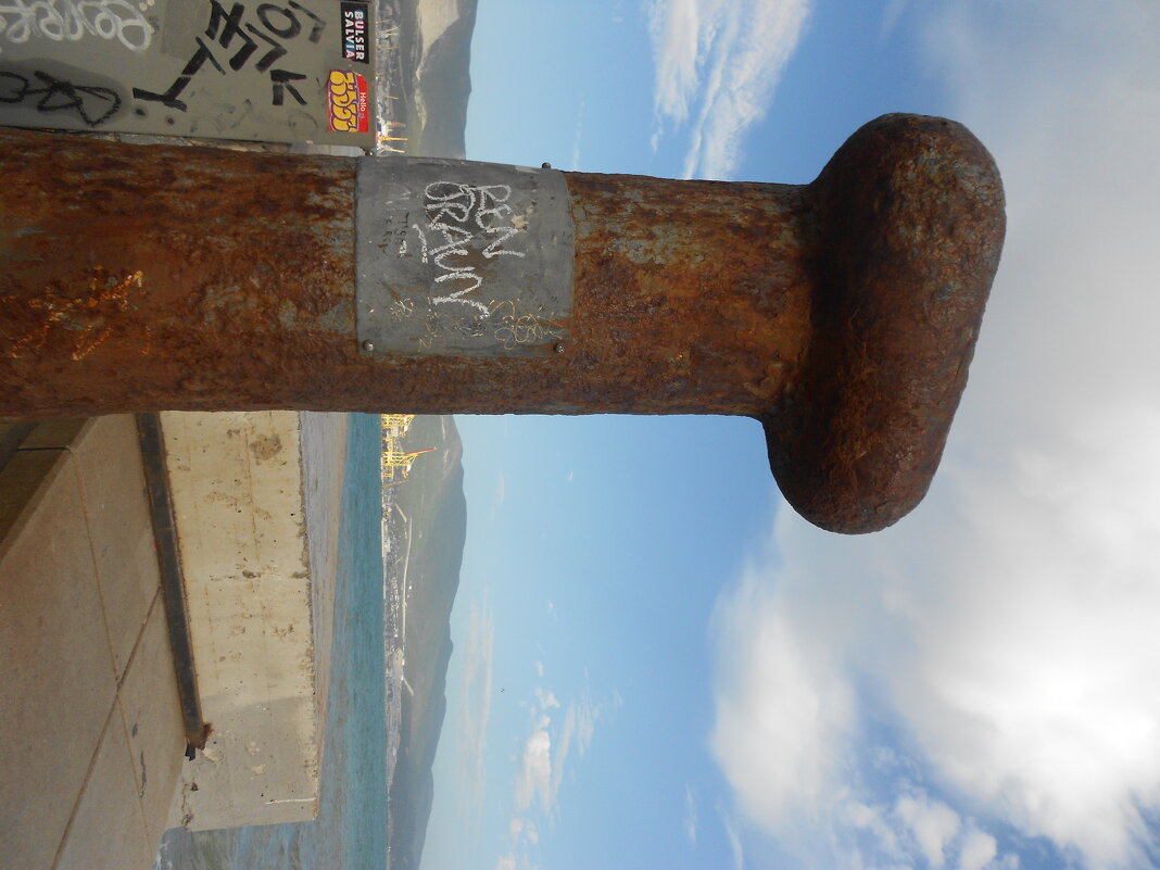 на набережной - Елена Шаламова на набережной - Елена Шаламова