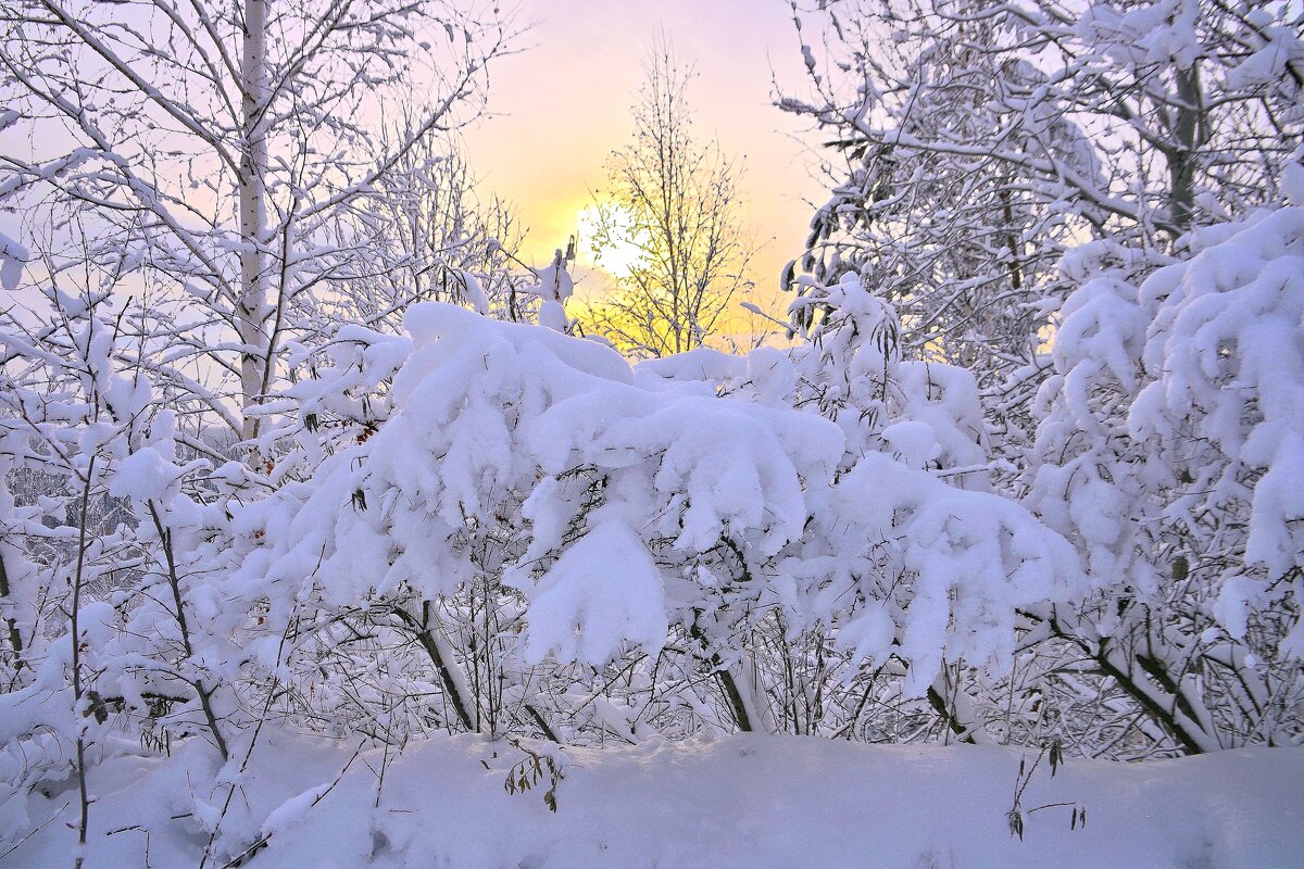 - - Владимир Мигонькин