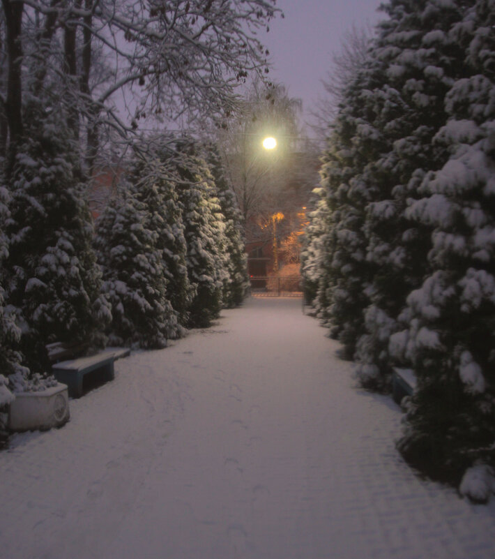 *** - Сергей Григорьев