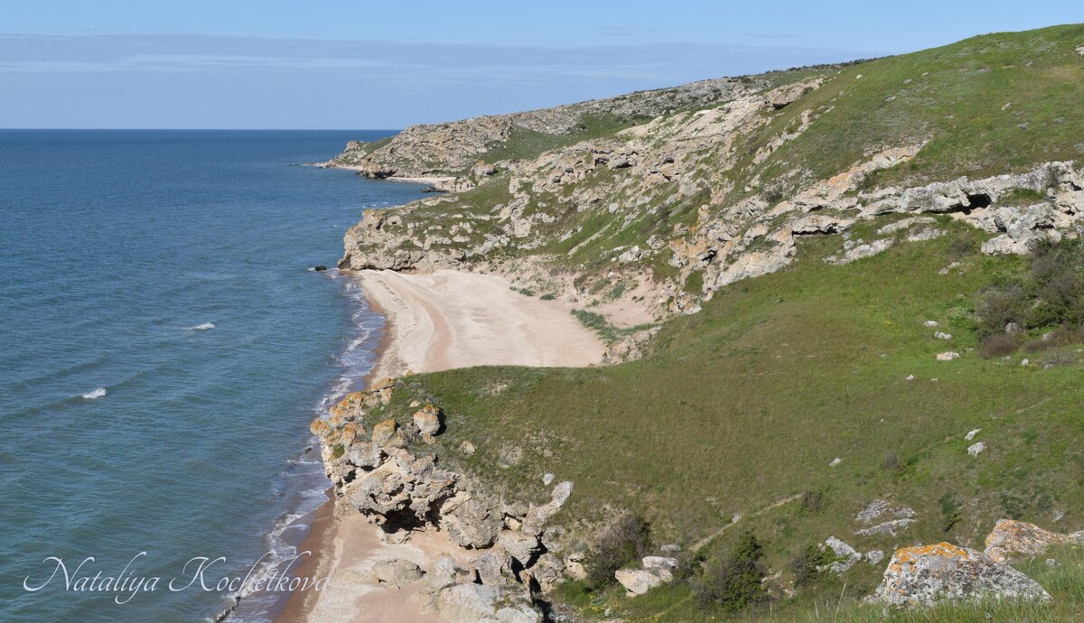 Природа Крыма - Amazing Cosmea