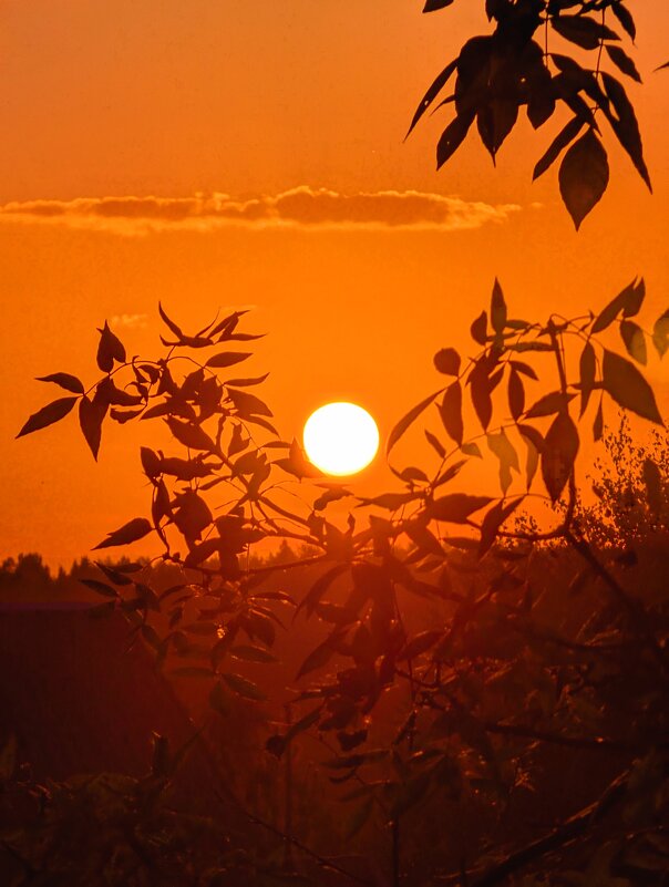 Теплый вечер сентября - Анастасия Логинова