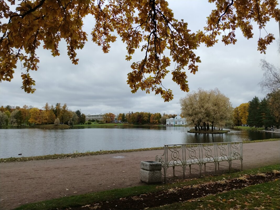 Осень - tipchik 