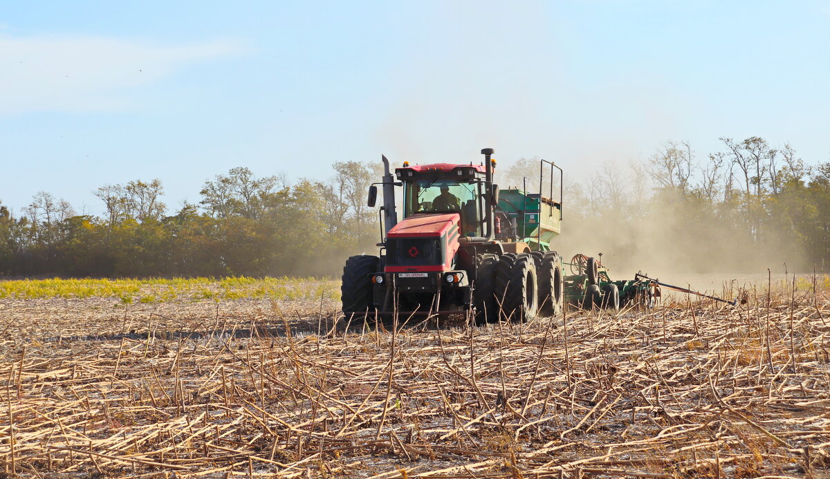 Прямая обработка почвы - Надежда Парфенова Прямая обработка почвы - Надежда Парфенова
