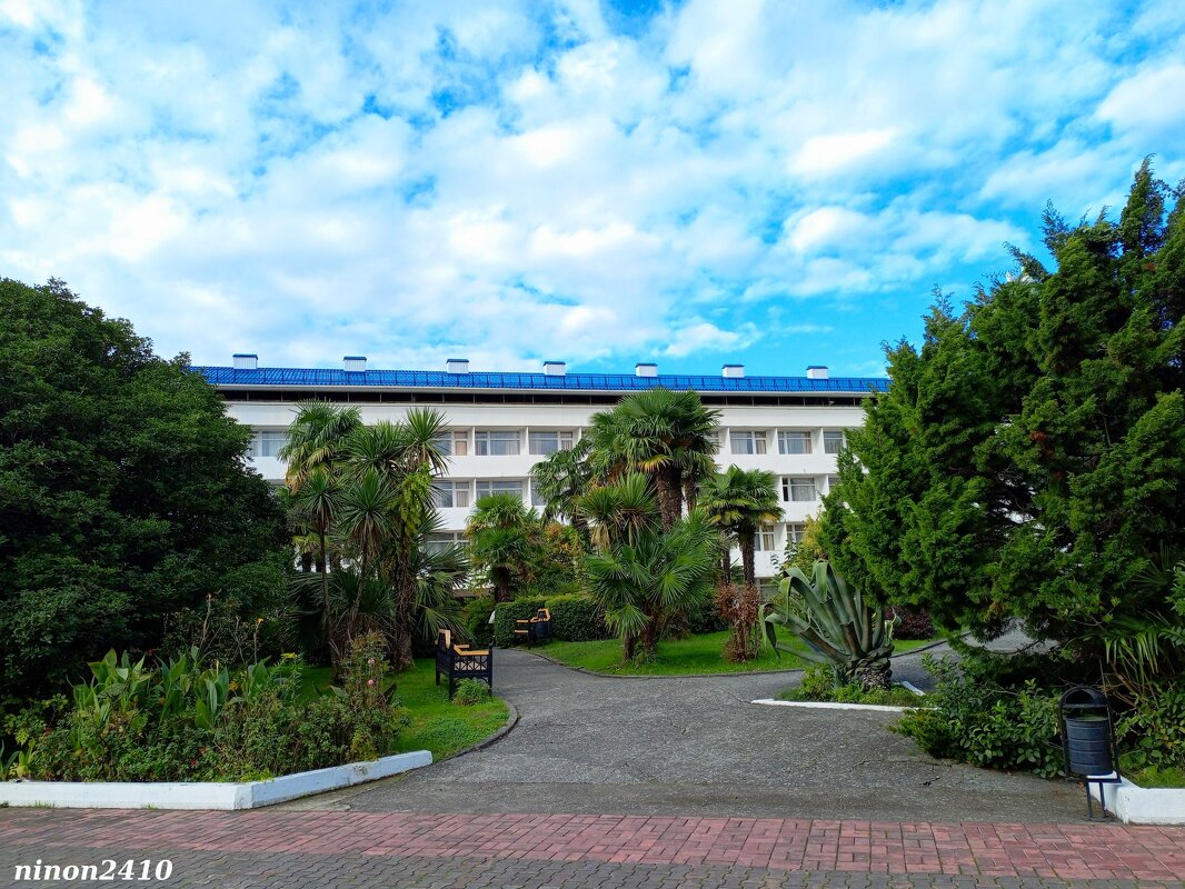 Адлер. Пансионат "Орбита" - Нина Бутко