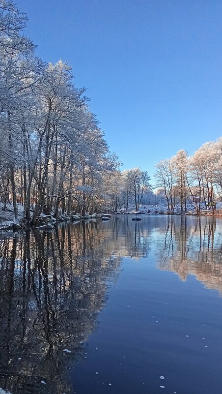 *** - Ольга Попова (popova/j2011)