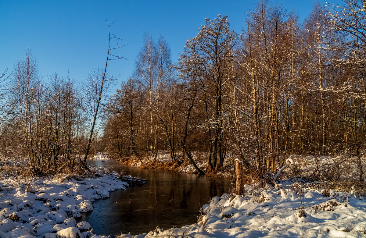 Первый снег 8 - Андрей Дворников