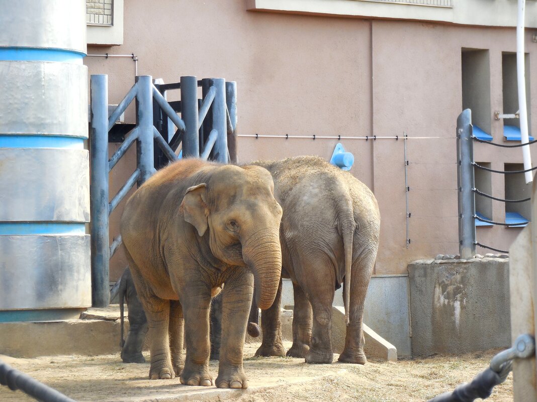 Поссорились? - Надежда 