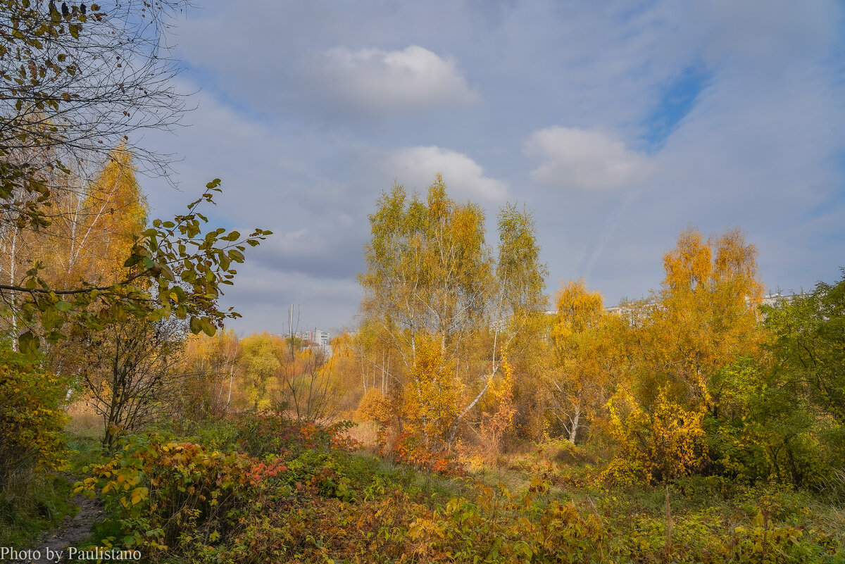 Палитра октября... - Владимир Жданов