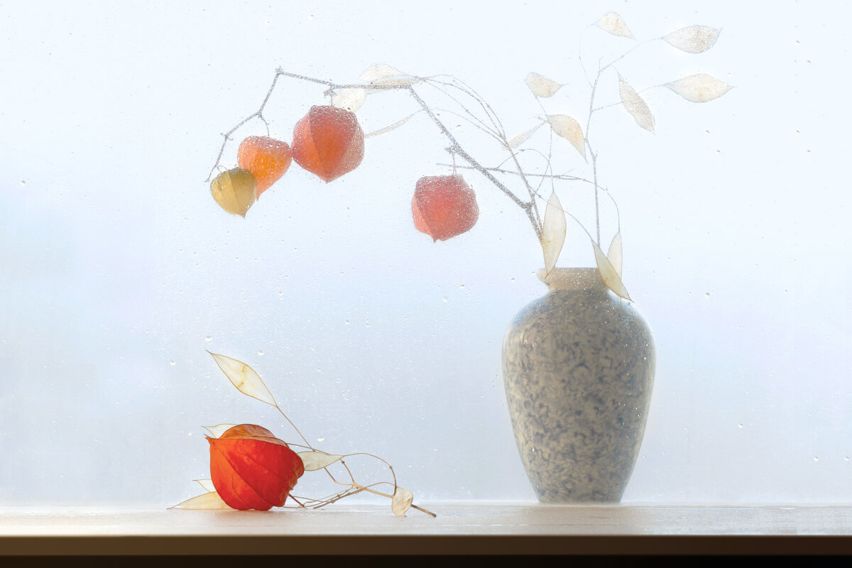 Ноябрьский этюд с физалисом 2 - Olenka 